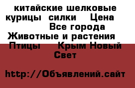 китайские шелковые курицы (силки) › Цена ­ 2 500 - Все города Животные и растения » Птицы   . Крым,Новый Свет